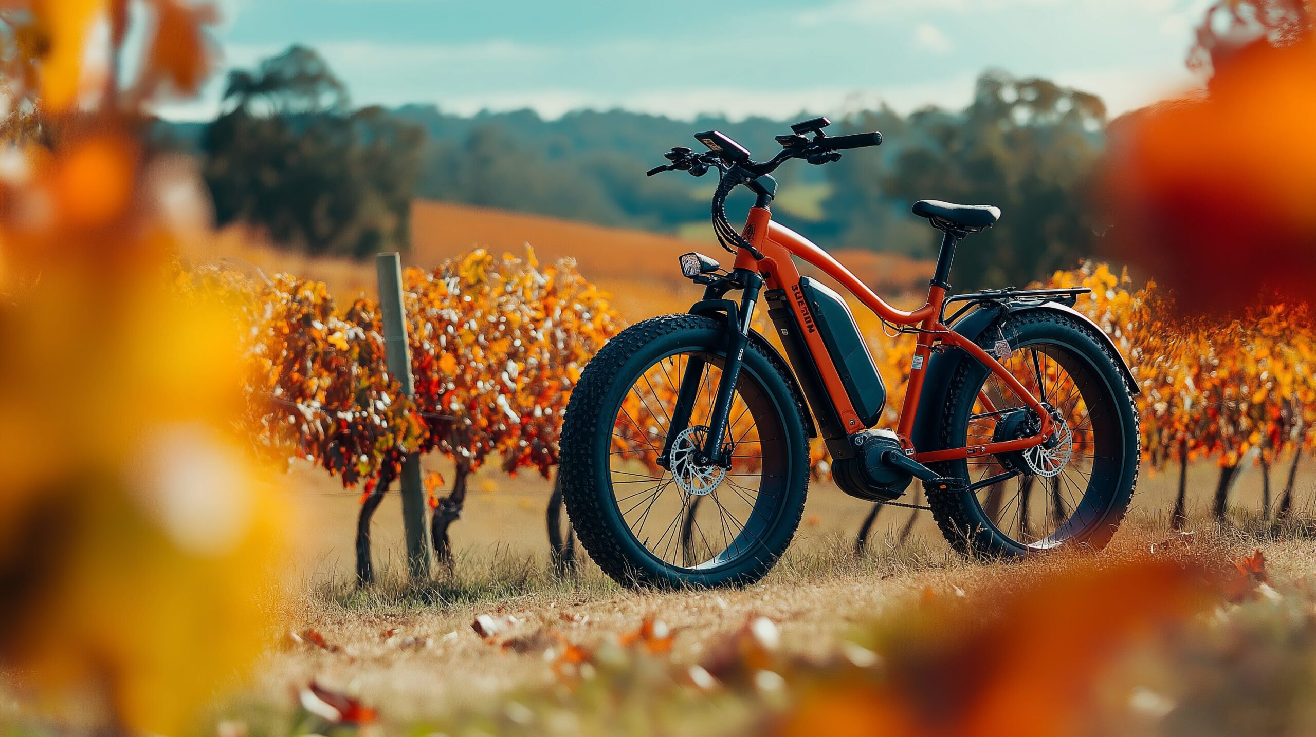 Electric Bike Vineyard Tour